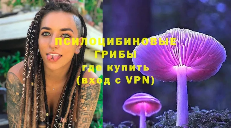 где купить   дарк нет формула  mega ТОР  Галлюциногенные грибы Psilocybe  Бор 